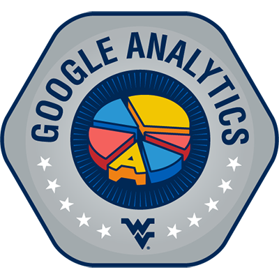 Google Analytics Badge 