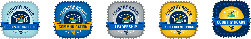 All the Country Roads Badges displayed
